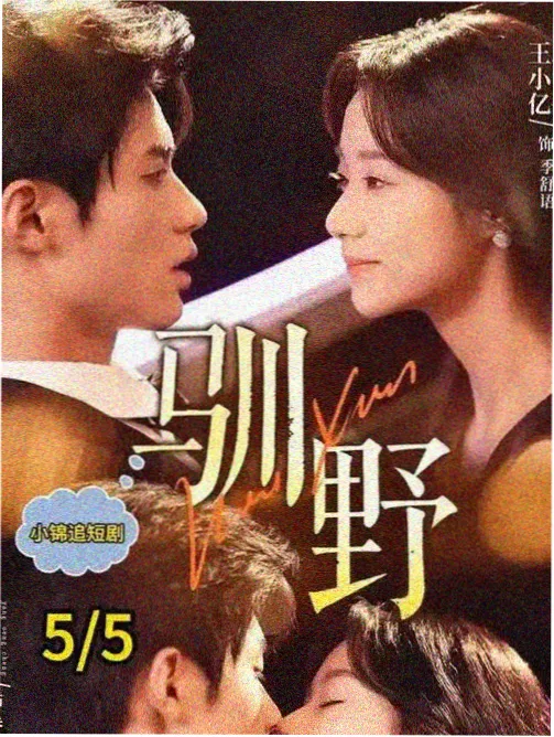 奇优影院手机版电视剧《第七次开庭》海报